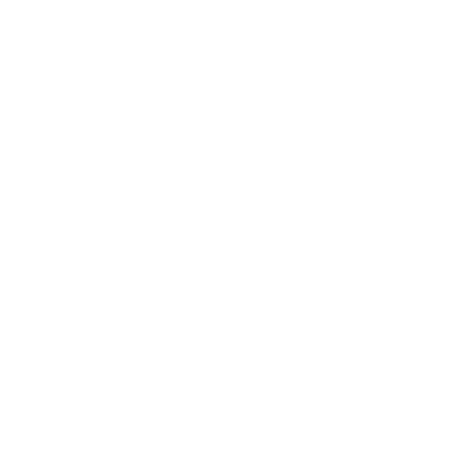Coin icon